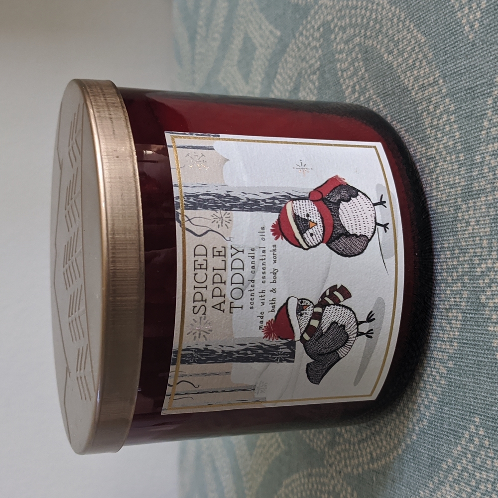 Bath and body works Spiced Apple Toddy 3 wick Candle